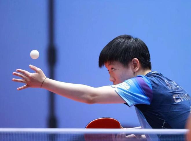 的体育场馆 的体育场馆